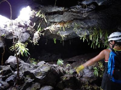 Caving excursion in the 2004 Lava Tube in Reunion Island Caving excursion in the 2004 Lava Tube in Reunion Island
