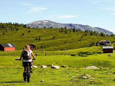6-day mountain bike excursion in the Norwegian fjords, near Sogndal 6-day mountain bike excursion in the Norwegian fjords, near Sogndal